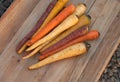 Different colored fresh picked assorted carrots Royalty Free Stock Photo