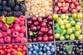 Different colorful berries in wooden box. Close-up