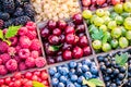 Different colorful berries in wooden box. Close-up