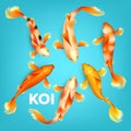 Different Colors Of Koi Exotic Fish Set Vector Royalty Free Stock Photo