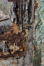 Different colors on rusty metal, metal corroded texture Royalty Free Stock Photo