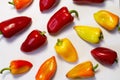 Different colors sweet peppers laid out on a white surface Royalty Free Stock Photo