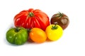 Different colors tomatos, Solanum lycopersicum Royalty Free Stock Photo