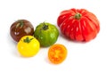 Different colors tomatos, Solanum lycopersicum Royalty Free Stock Photo