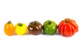 Different colors tomatos, Solanum lycopersicum Royalty Free Stock Photo