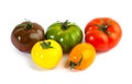 Different colors tomatos, Solanum lycopersicum Royalty Free Stock Photo