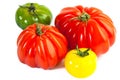 Different colors tomatos, Solanum lycopersicum Royalty Free Stock Photo