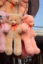 different  colour hanging  teddy bear Royalty Free Stock Photo