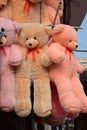 different  colour hanging  teddy bear Royalty Free Stock Photo