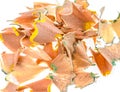 Different colour pencil sharpener shavings. Royalty Free Stock Photo