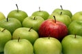 Different concepts with apples Royalty Free Stock Photo