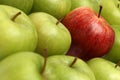 Different concepts with apples Royalty Free Stock Photo