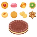 Different cookie cakes top view sweet food tasty snack biscuit sweet dessert vector illustration.