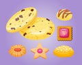 Different cookie homemade breakfast bake cakes and tasty snack biscuit pastry delicious sweet dessert bakery