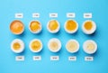 Different cooking time and readiness stages of boiled chicken eggs on light blue background, flat lay Royalty Free Stock Photo