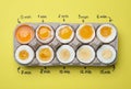 Different cooking time and readiness stages of boiled chicken eggs on yellow background, top view Royalty Free Stock Photo