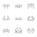 Different crab icons set, outline style