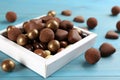 Different delicious chocolate candies in box on light blue wooden table, closeup Royalty Free Stock Photo