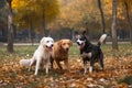Different dog breeds have fun together. Three friendly dogs in autumn park Generative AI.