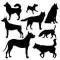 Variety of dog breeds vector black and white vector silhouette set