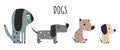 Different dog breeds on a white isolated background, cartoon vector pet characters of various illustrations.Doodle style