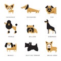 Different dogs breeds characters set of vector Illustrations and lettering breed in English Royalty Free Stock Photo