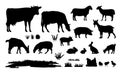 Different domestic rural animals set. Pets farmer. Picture silhouette black isolated on white background. Vector