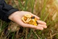 Different dried fruits, nuts in a female hand on a background of green grass. Snack during the hike, walk. Healthy vegetarian food Royalty Free Stock Photo