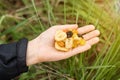 Different dried fruits, nuts in a female hand on a background of green grass. Snack during the hike, walk. Healthy vegetarian food Royalty Free Stock Photo