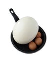 Different eggs on frying pan Royalty Free Stock Photo