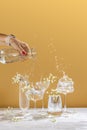 Different elegant champagne glasses with sparkling water, women hand is pouring water from bottle to coupe glass. Splash, splatter Royalty Free Stock Photo