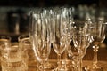 Different empty clean glasses on counter in bar Royalty Free Stock Photo