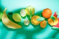 Different exotic fruits made of paper on trendy mint background