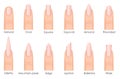 Different fashion nail shapes. Set kinds of nails. Fashion nails type trends.