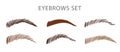 Different female eyebrow icons set. Makeup brows