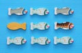 different fish swimming opposite way of identical ones. Courage and success concept. Royalty Free Stock Photo