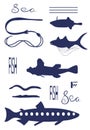 Different Fish Types. Dark blue vector silhouette image. Royalty Free Stock Photo