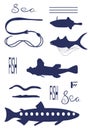 Different Fish Types. Dark blue vector silhouette image.