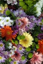 Different flower bouquet Royalty Free Stock Photo