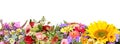 Different flower bouquets Royalty Free Stock Photo