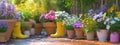 different flower pots of every Royalty Free Stock Photo