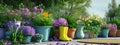 different flower pots of every Royalty Free Stock Photo