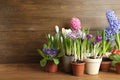 Different flowers in ceramic pots on wooden table. Space for text Royalty Free Stock Photo