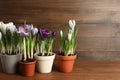 Different flowers in ceramic pots on wooden table. Space for text Royalty Free Stock Photo