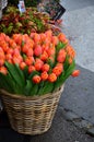 Different set of multicolored flowers on the street for background Royalty Free Stock Photo