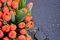 Different set of multicolored flowers on the street for background Royalty Free Stock Photo