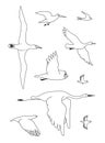 Birds. Vector black drawing line silhouette image set. Royalty Free Stock Photo