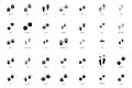 different footprint traces. footprint step traces animals. Vector illustration.