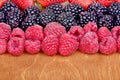 Different fresh berries Royalty Free Stock Photo