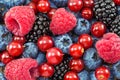 Different fresh berries Royalty Free Stock Photo